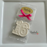 16th Birthday Set of 12 SWEET SIXTEEN Chocolate Favors