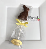 12 RABBIT Chocolate Lollipops Candy Easter Bunny Spring Party Favors