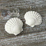 SEASHELL Set of 12 Chocolate Candy Party Favors