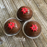 6 Pack HOT CHOCOLATE COCOA BOMBS Marshmallow POINSETTIA Christmas Holiday Gift