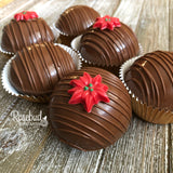6 Pack HOT CHOCOLATE COCOA BOMBS Marshmallow POINSETTIA Christmas Holiday Gift