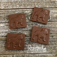12 BULLDOG Chocolate Solid Square Candy Party Favors