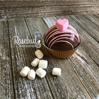 6 Pack HOT CHOCOLATE COCOA BOMBS Conversation HEARTS Marshmallow Valentine's Day Birthday Gift