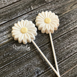 12 DAISY Chocolate Lollipop Candy Party Favors Flowers