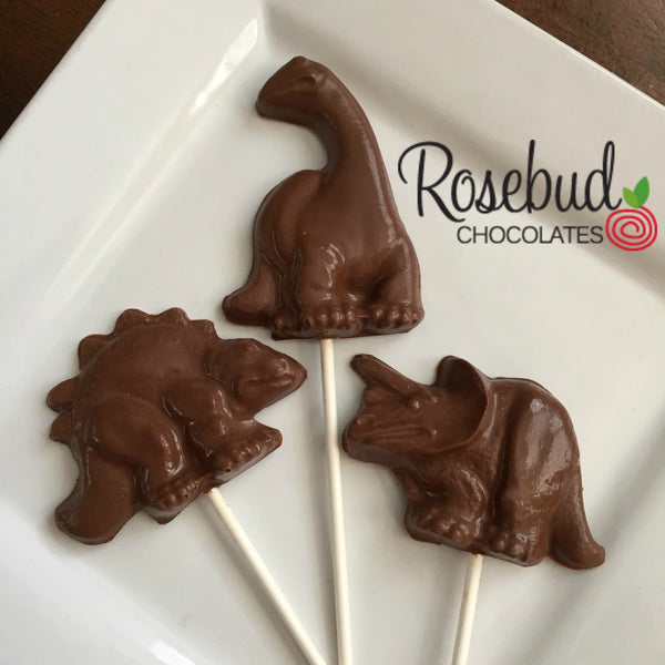 10 DINOSAUR Chocolate Lollipop Party Favors