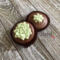 12 SUCCULENT Chocolate Covered Oreo Cookie Candy Party Favors