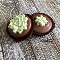 12 SUCCULENT Chocolate Covered Oreo Cookie Candy Party Favors