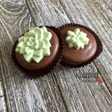 12 SUCCULENT Chocolate Covered Oreo Cookie Candy Party Favors