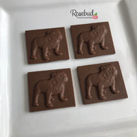 12 BULLDOG Chocolate Solid Square Candy Party Favors