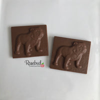 12 BULLDOG Chocolate Solid Square Candy Party Favors