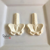 8 SPINE & PELVIC BONE Chocolate Candy Party Favors